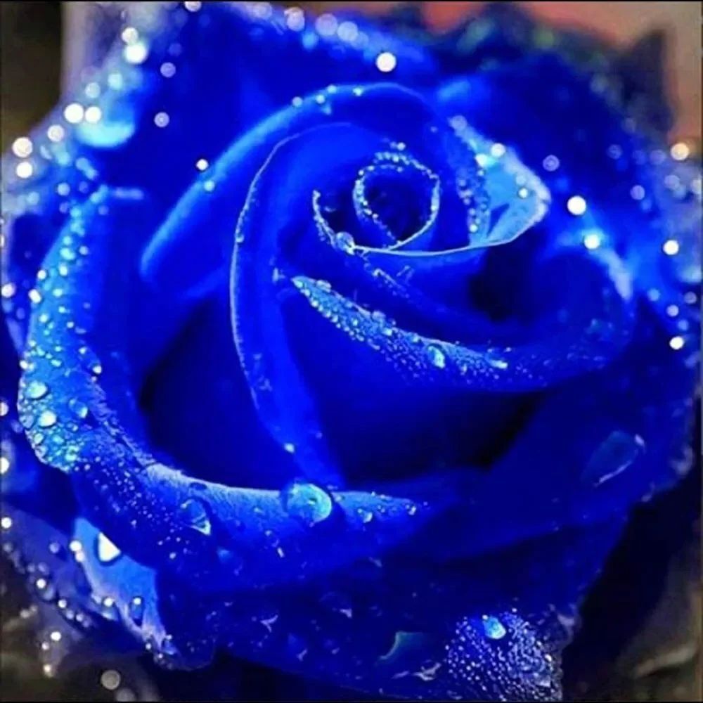 BLUE ROSE diamond painting!!